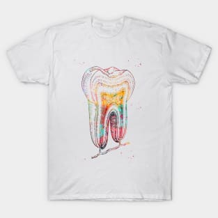 Human tooth structure T-Shirt